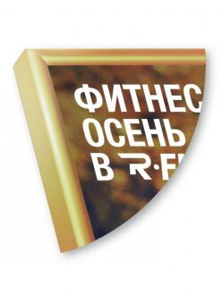 Рамка Нельсон 02, 50х70,  золото глянец анодир. в Владивостоке - картинка, изображение, фото